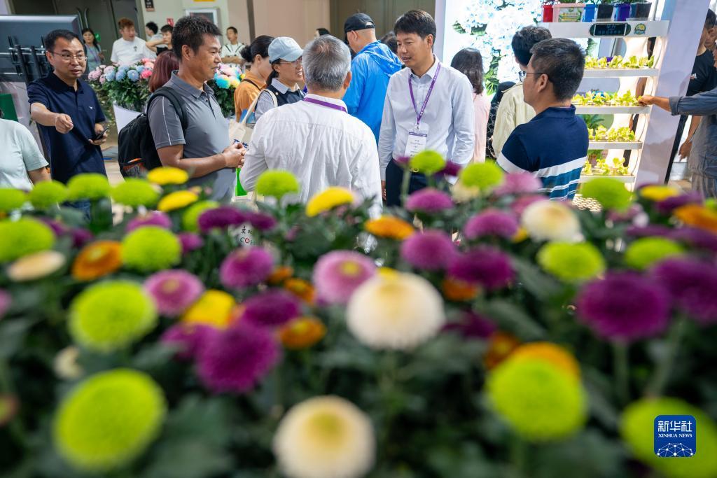 俄罗斯太阳集团